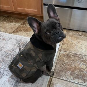 Carhartt Camo Dog work coat